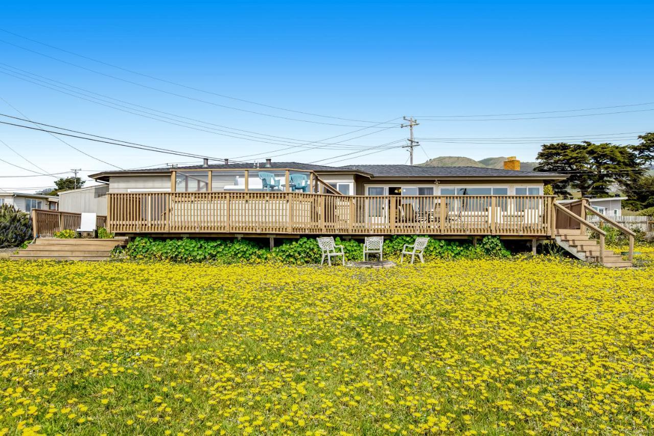 Cozy Carmet Cottage خليج بوديجا المظهر الخارجي الصورة